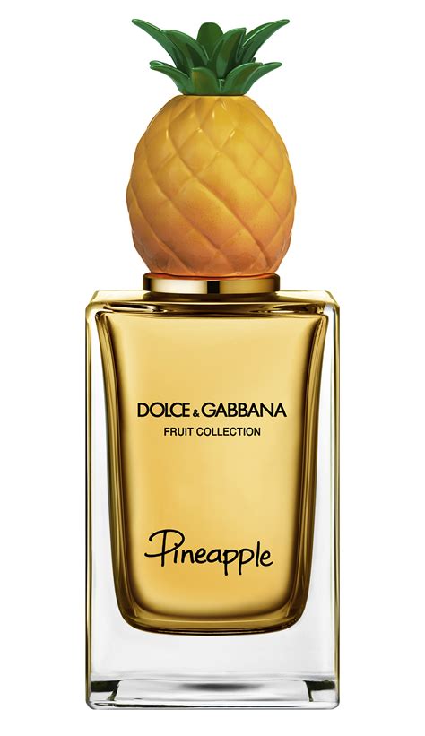 dolce gabbana perfume harga|dolce and gabbana unisex fragrance.